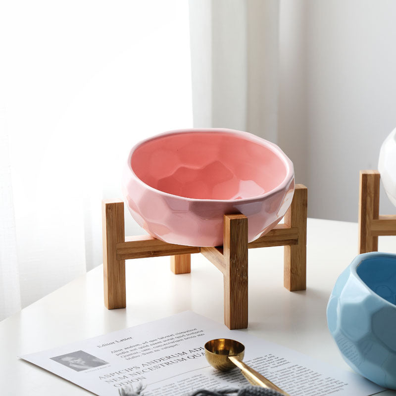 Tilted Pet Bowl for Cats & Dogs | DUCA