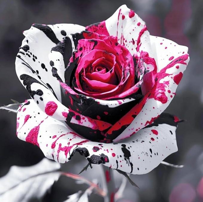 200+ Premium Rose Seeds! Fast Germination & Easy Grow for Gardens Home Garden Planting