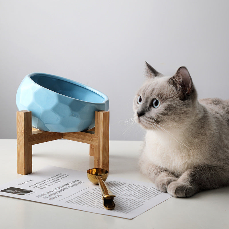 Tilted Pet Bowl for Cats & Dogs | DUCA