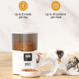 Pet Feed Dispenser