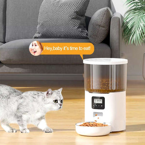 Pet Feed Dispenser