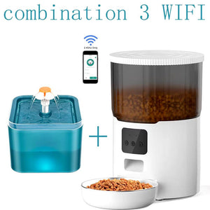 Pet Feed Dispenser
