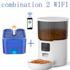 Pet Feed Dispenser
