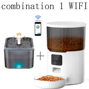 Pet Feed Dispenser