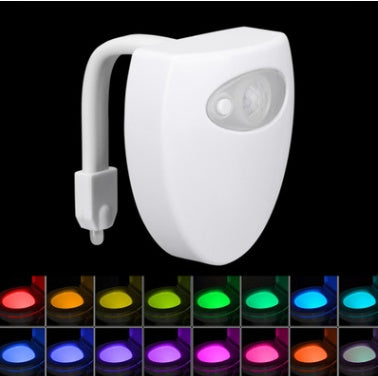 Toilet Induction LED Night Light DUCA