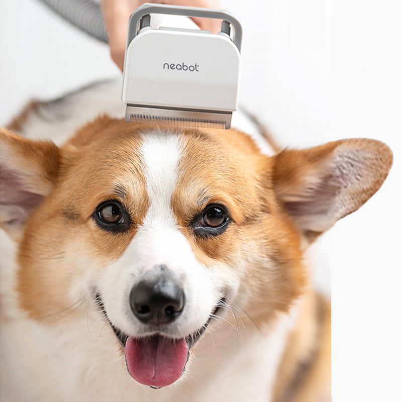 Pet Grooming Tool for Shaving and Grooming