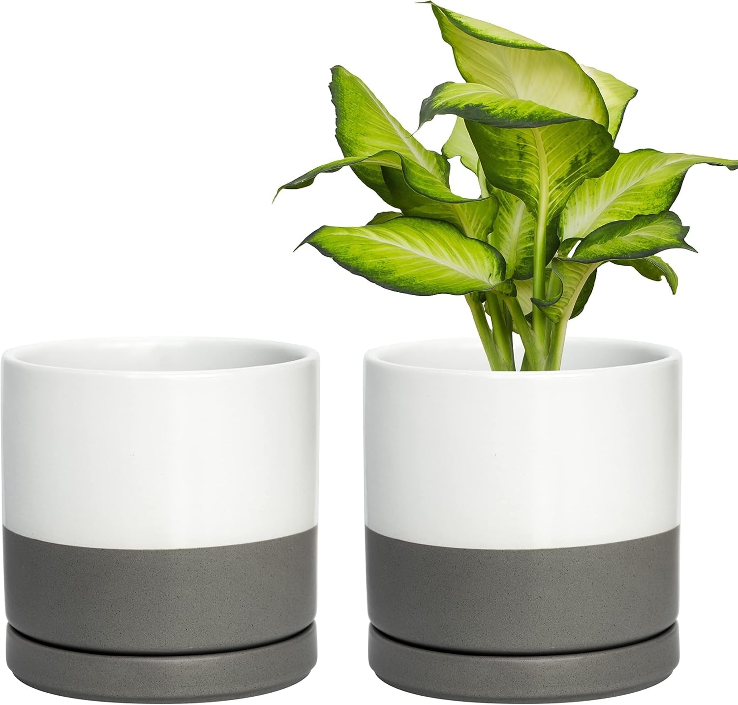 Set of 2 Plants Pots, 6 Inch Ceramic Planter Pot for Plants with Drainage Hole and Saucer, White/Speckled Grey, 94-V-C-6