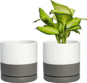 Set of 2 Plants Pots, 6 Inch Ceramic Planter Pot for Plants with Drainage Hole and Saucer, White/Speckled Grey, 94-V-C-6