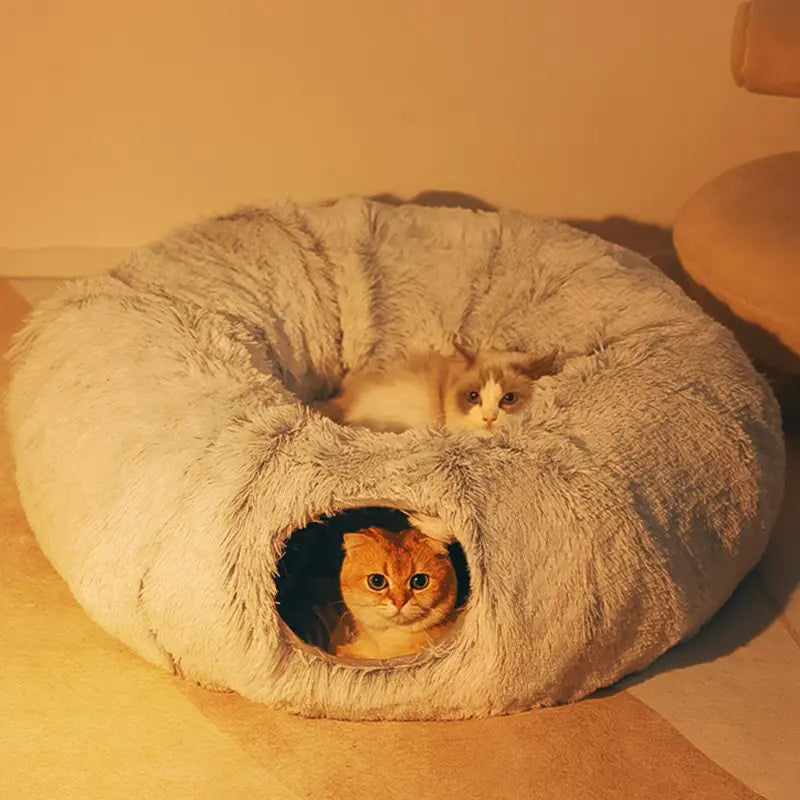 Cat Beds House DUCA