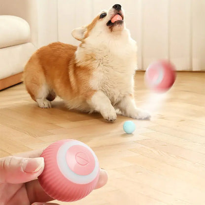 Electric Dog Toys Smart Puppy Ball Toys For Cat Small Dogs Funny Auto Rolling Ball Self-moving Puppy Games Toys Pet Accessories DUCA