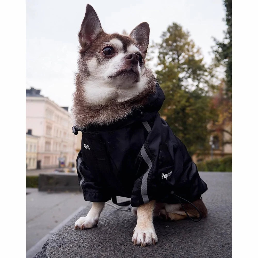 Winter Dog Face Jacket DUCA