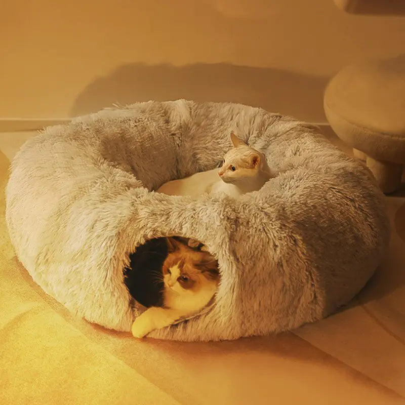 Cat Beds House DUCA