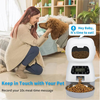 Automatic Dogs Cats Feeder DUCA