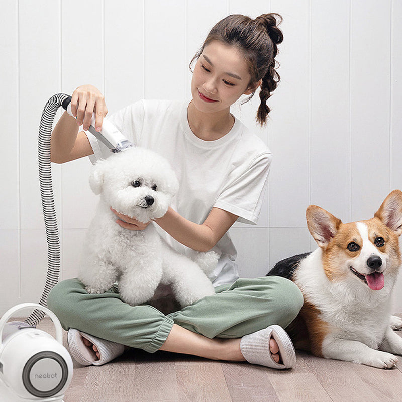 Pet Grooming Tool for Shaving and Grooming