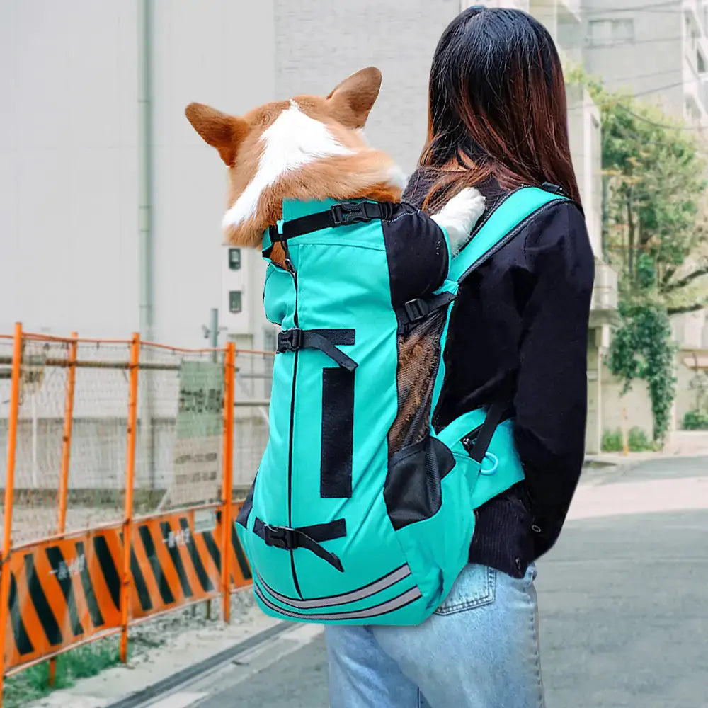 Dog Carrier DUCA