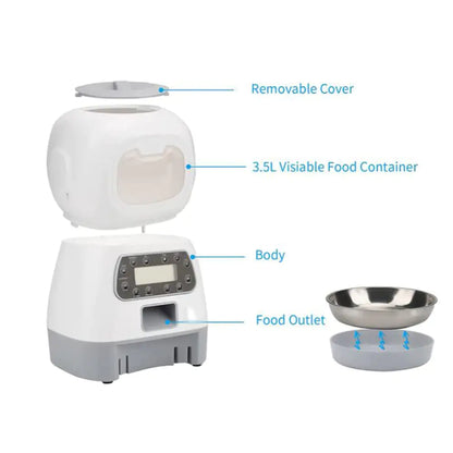 Automatic Dogs Cats Feeder DUCA