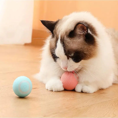 Electric Dog Toys Smart Puppy Ball Toys For Cat Small Dogs Funny Auto Rolling Ball Self-moving Puppy Games Toys Pet Accessories DUCA